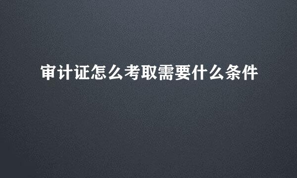 审计证怎么考取需要什么条件