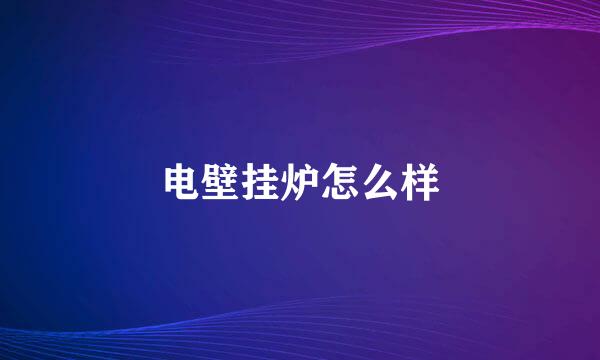 电壁挂炉怎么样