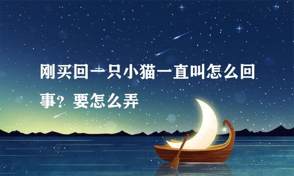 刚买回一只小猫一直叫怎么回事?要怎么弄