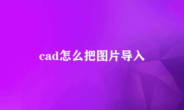cad怎么把图片导入