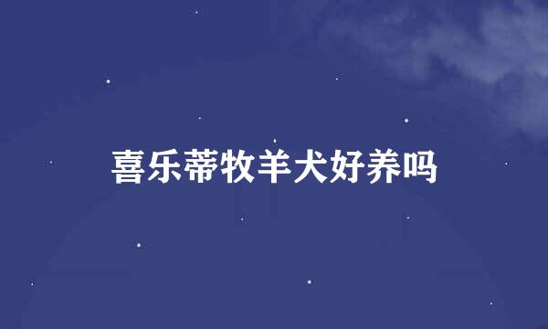 喜乐蒂牧羊犬好养吗