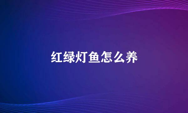 红绿灯鱼怎么养