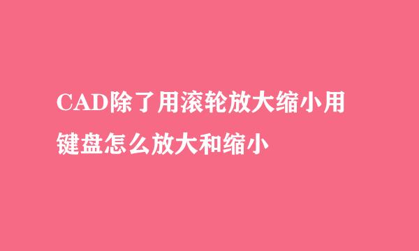 CAD除了用滚轮放大缩小用键盘怎么放大和缩小