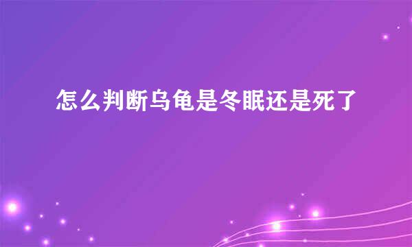 怎么判断乌龟是冬眠还是死了