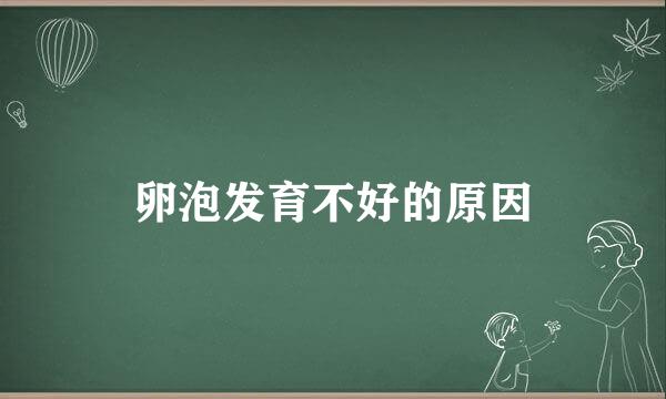 卵泡发育不好的原因
