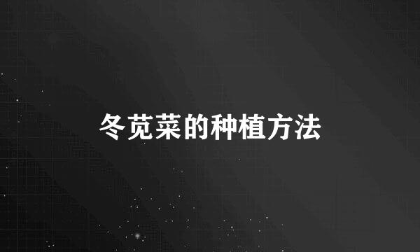 冬苋菜的种植方法