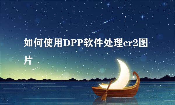 如何使用DPP软件处理cr2图片