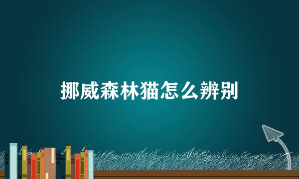 挪威森林猫怎么辨别