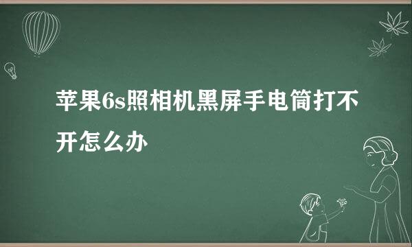 苹果6s照相机黑屏手电筒打不开怎么办