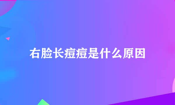 右脸长痘痘是什么原因
