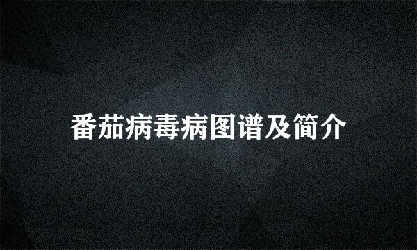番茄病毒病图谱及简介