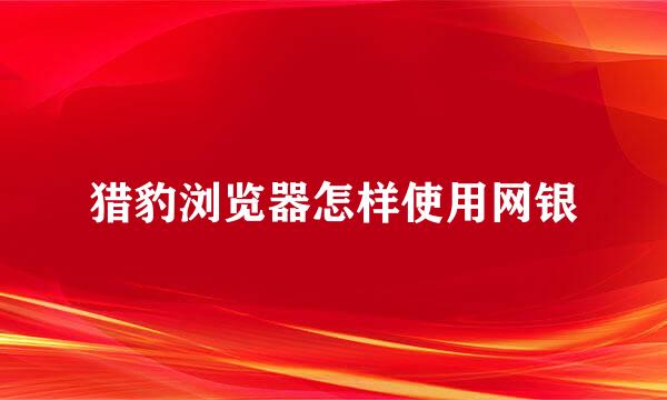 猎豹浏览器怎样使用网银