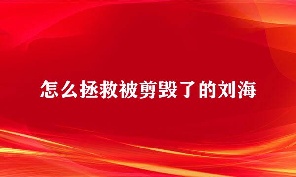 怎么拯救被剪毁了的刘海