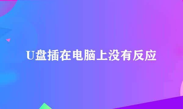 U盘插在电脑上没有反应