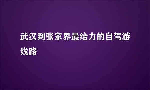 武汉到张家界最给力的自驾游线路