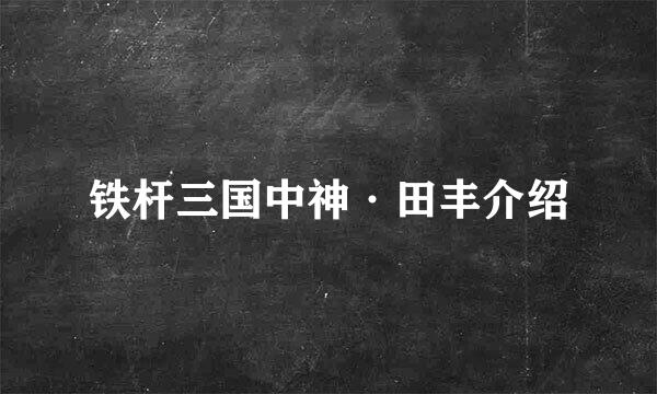 铁杆三国中神·田丰介绍