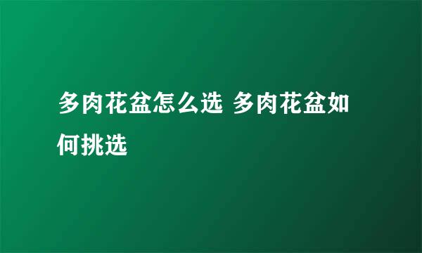 多肉花盆怎么选 多肉花盆如何挑选