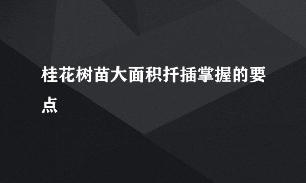 桂花树苗大面积扦插掌握的要点