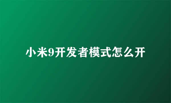 小米9开发者模式怎么开