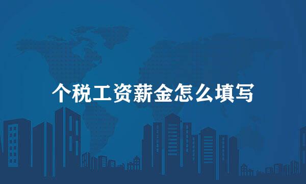 个税工资薪金怎么填写