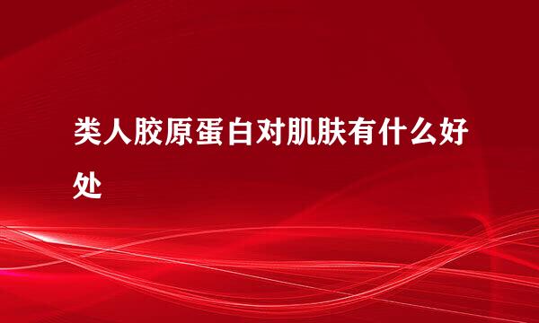 类人胶原蛋白对肌肤有什么好处