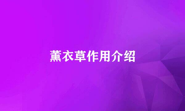 薰衣草作用介绍
