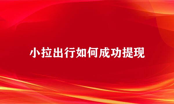小拉出行如何成功提现