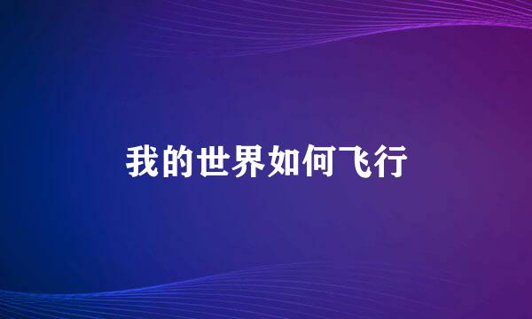 我的世界如何飞行