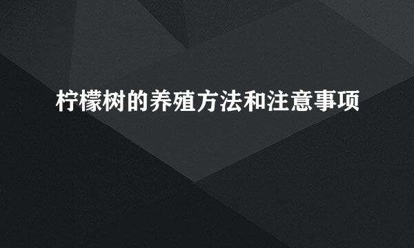 柠檬树的养殖方法和注意事项