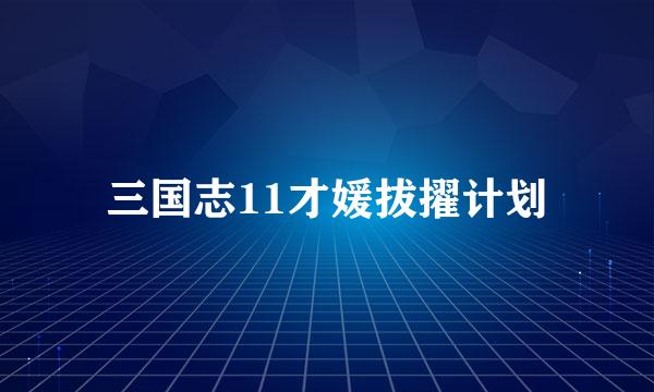 三国志11才媛拔擢计划