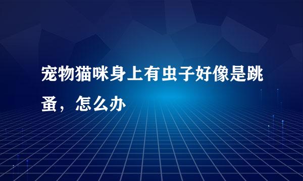 宠物猫咪身上有虫子好像是跳蚤,怎么办