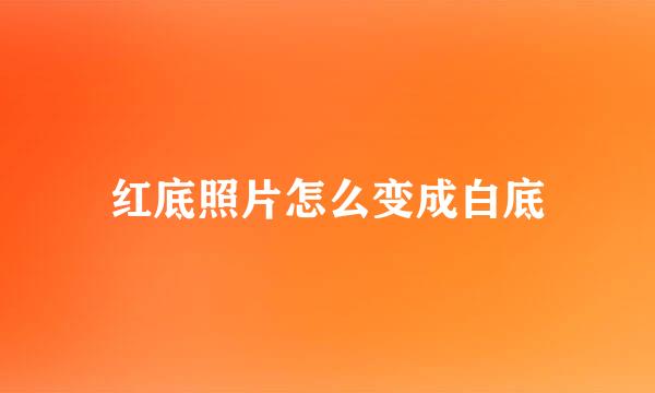 红底照片怎么变成白底