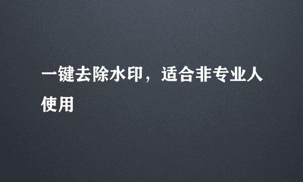 一键去除水印,适合非专业人使用