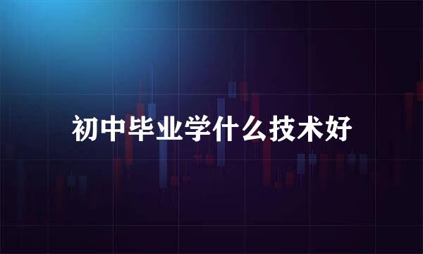 初中毕业学什么技术好