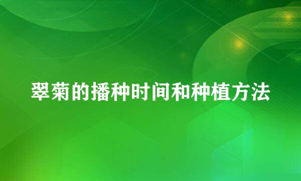 翠菊的播种时间和种植方法