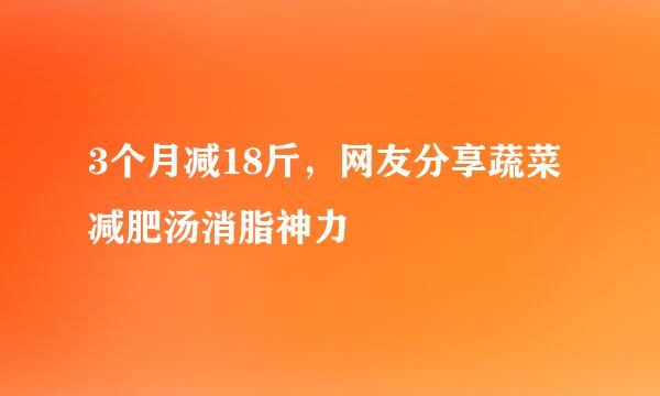 3个月减18斤,网友分享蔬菜减肥汤消脂神力