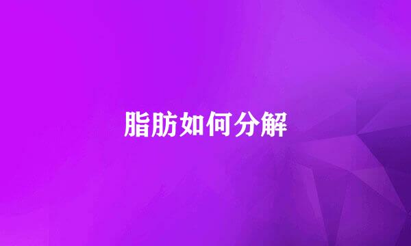脂肪如何分解