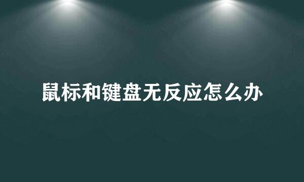 鼠标和键盘无反应怎么办