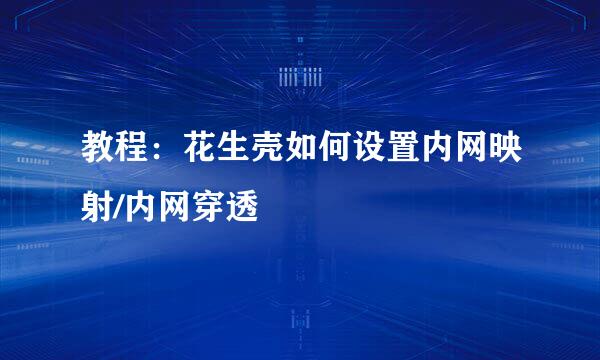 教程:花生壳如何设置内网映射/内网穿透