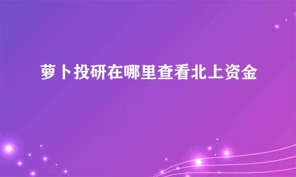 萝卜投研在哪里查看北上资金