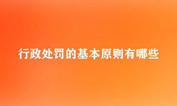 行政处罚的基本原则有哪些