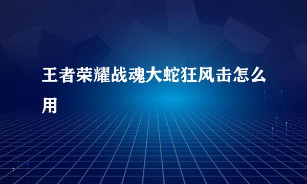 王者荣耀战魂大蛇狂风击怎么用