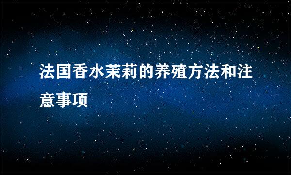 法国香水茉莉的养殖方法和注意事项