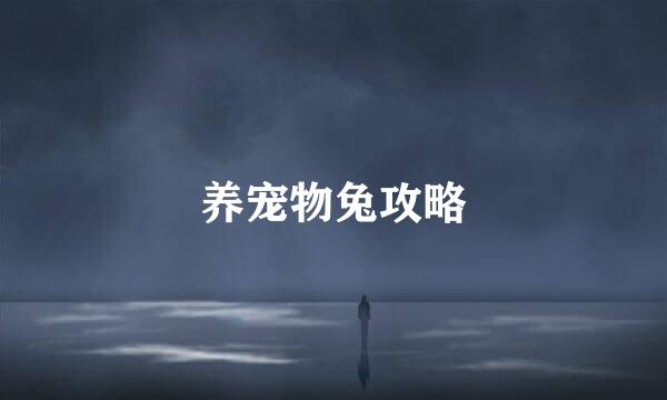 养宠物兔攻略