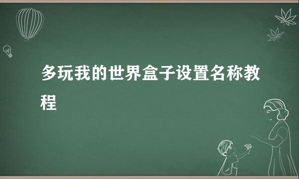多玩我的世界盒子设置名称教程