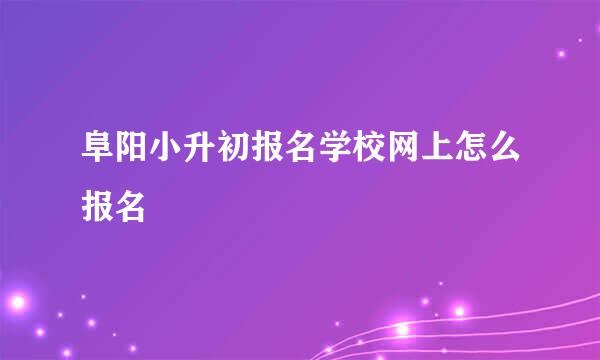 阜阳小升初报名学校网上怎么报名
