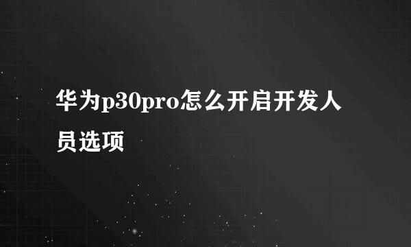 华为p30pro怎么开启开发人员选项