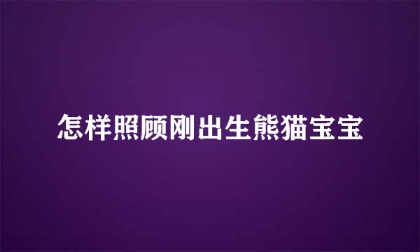 怎样照顾刚出生熊猫宝宝