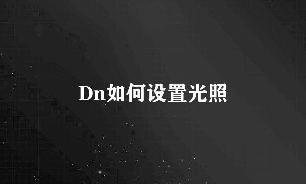 Dn如何设置光照