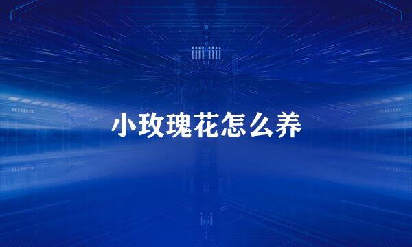小玫瑰花怎么养